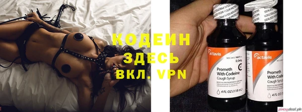 молекула духа Кулебаки