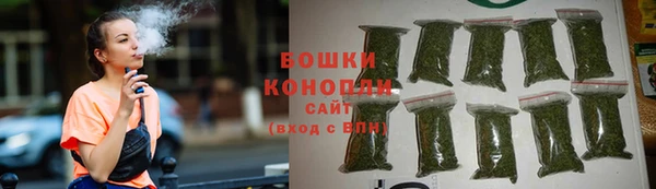 молекула духа Кулебаки
