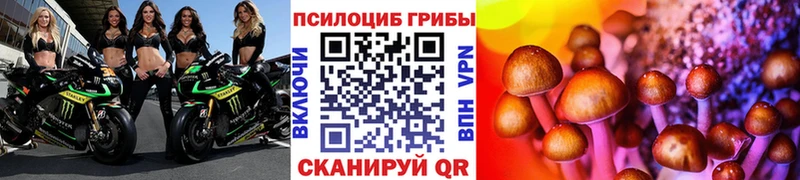 Псилоцибиновые грибы Psilocybine cubensis  МЕГА tor  Мезень  купить наркотик 